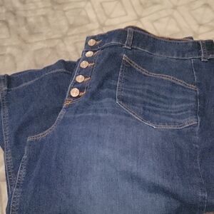 Torrid High Rise Dark Blue Jeans